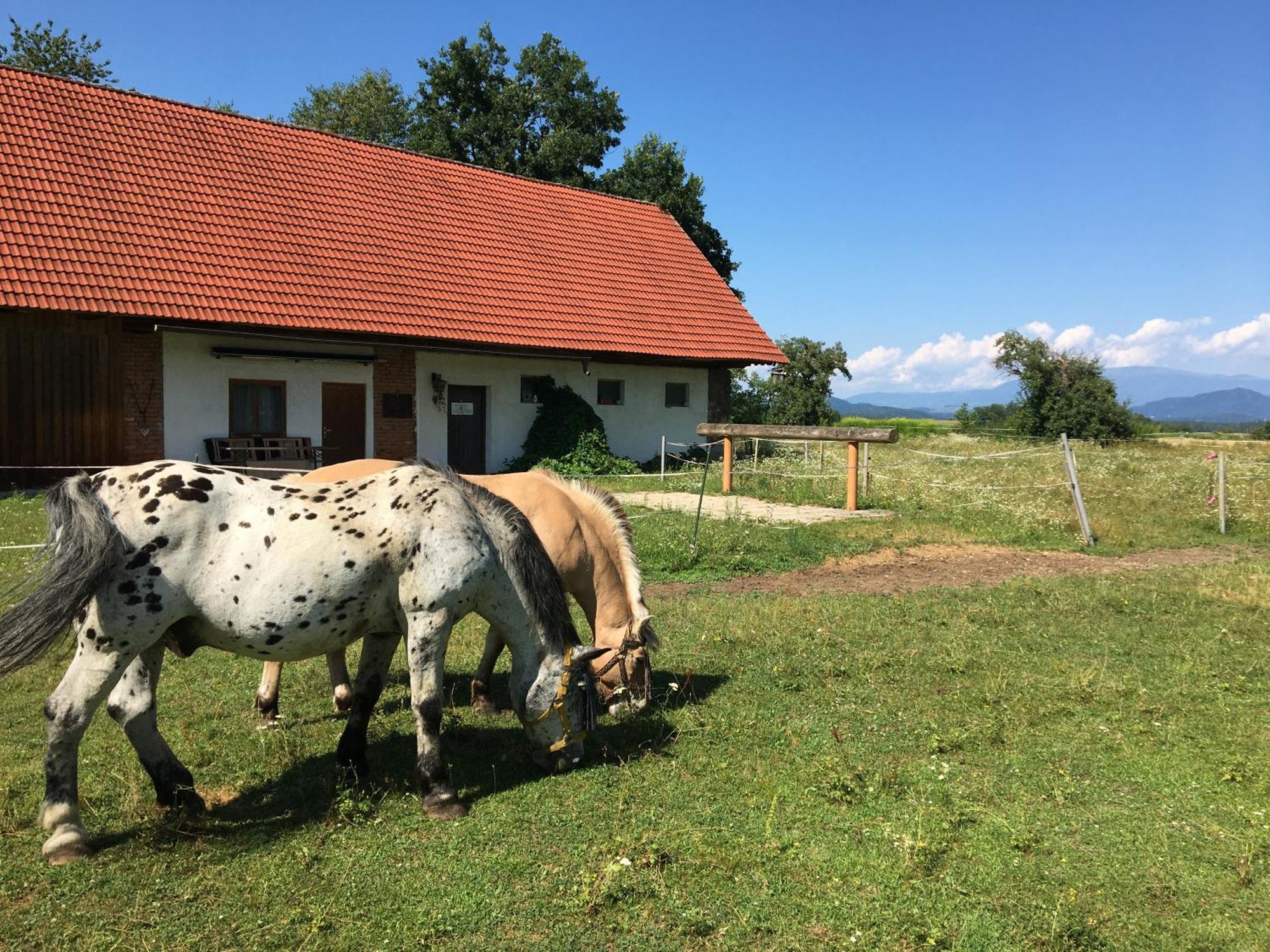 Hotel Skorianzhof Eberndorf Zewnętrze zdjęcie